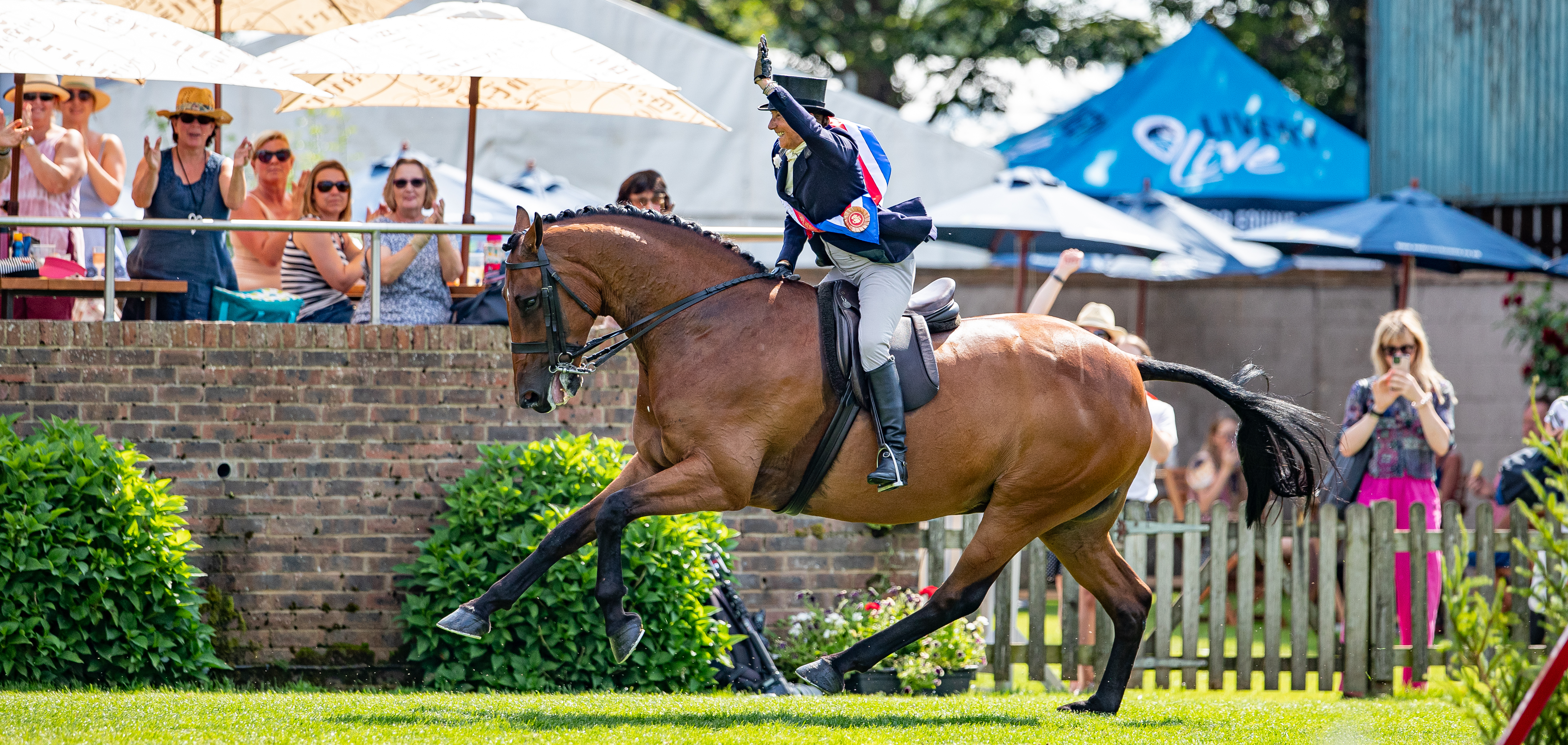 Jayne Ross Temple Ogue 2