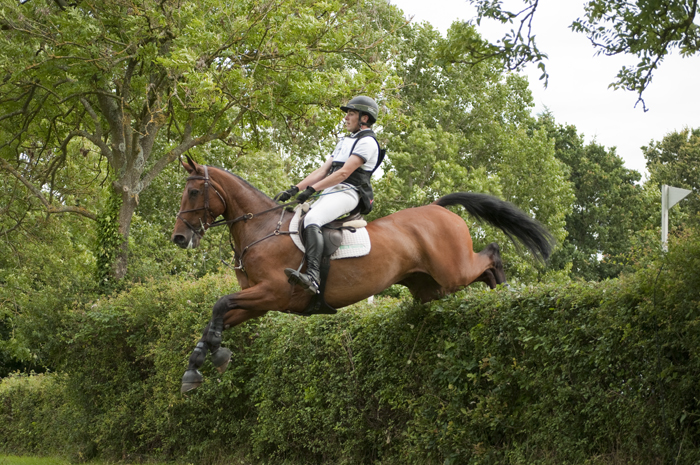 Eventing hedge.jpg