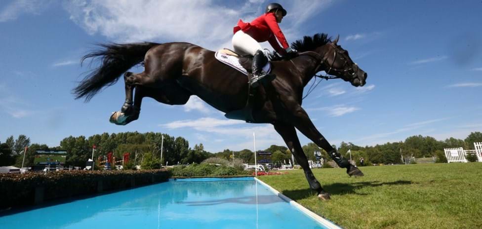 JP_A0447 (Medium).JPG