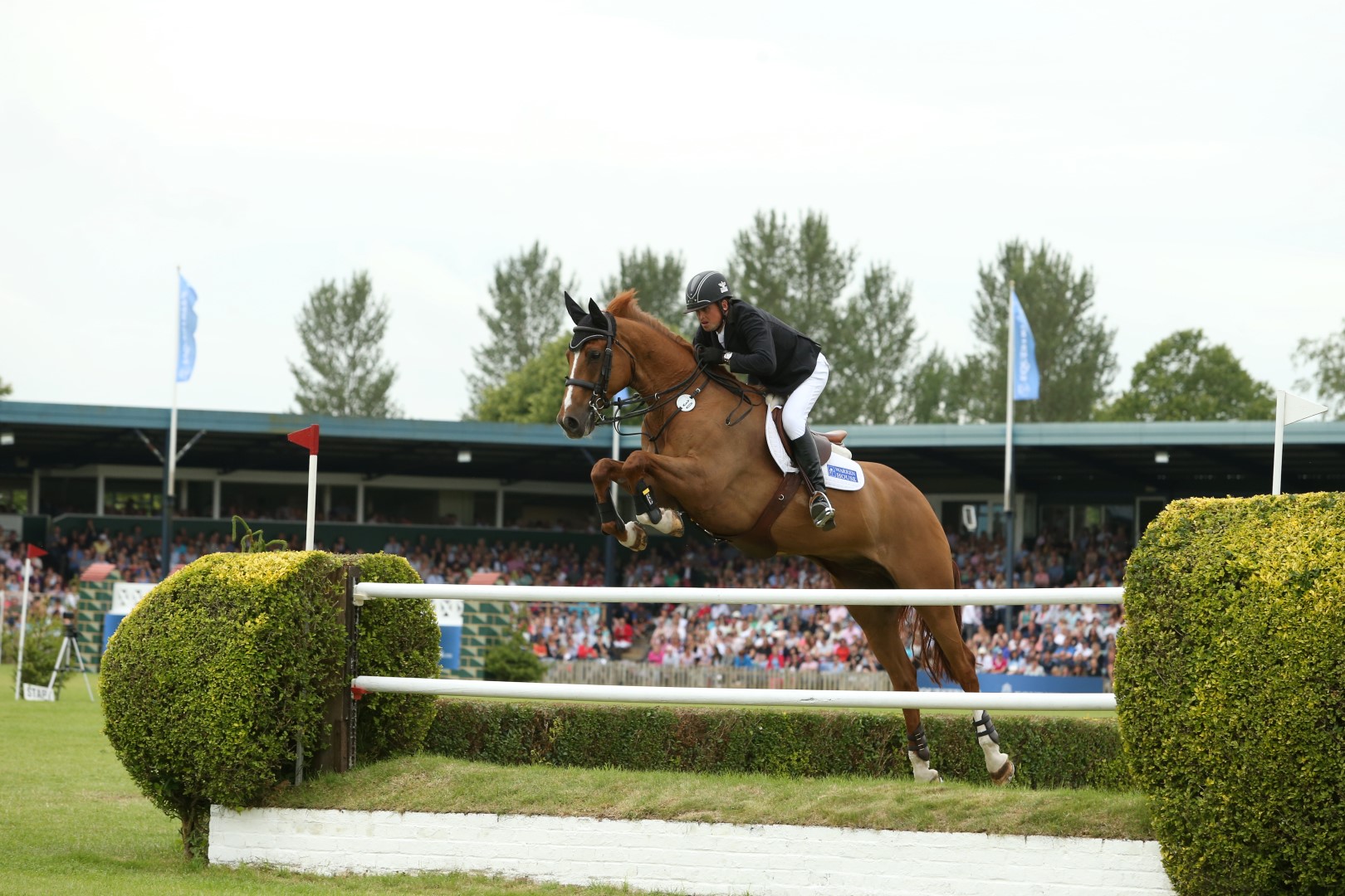 JP_B1743 (Large).JPG