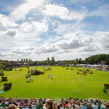 CP1_8592 (Medium).jpg