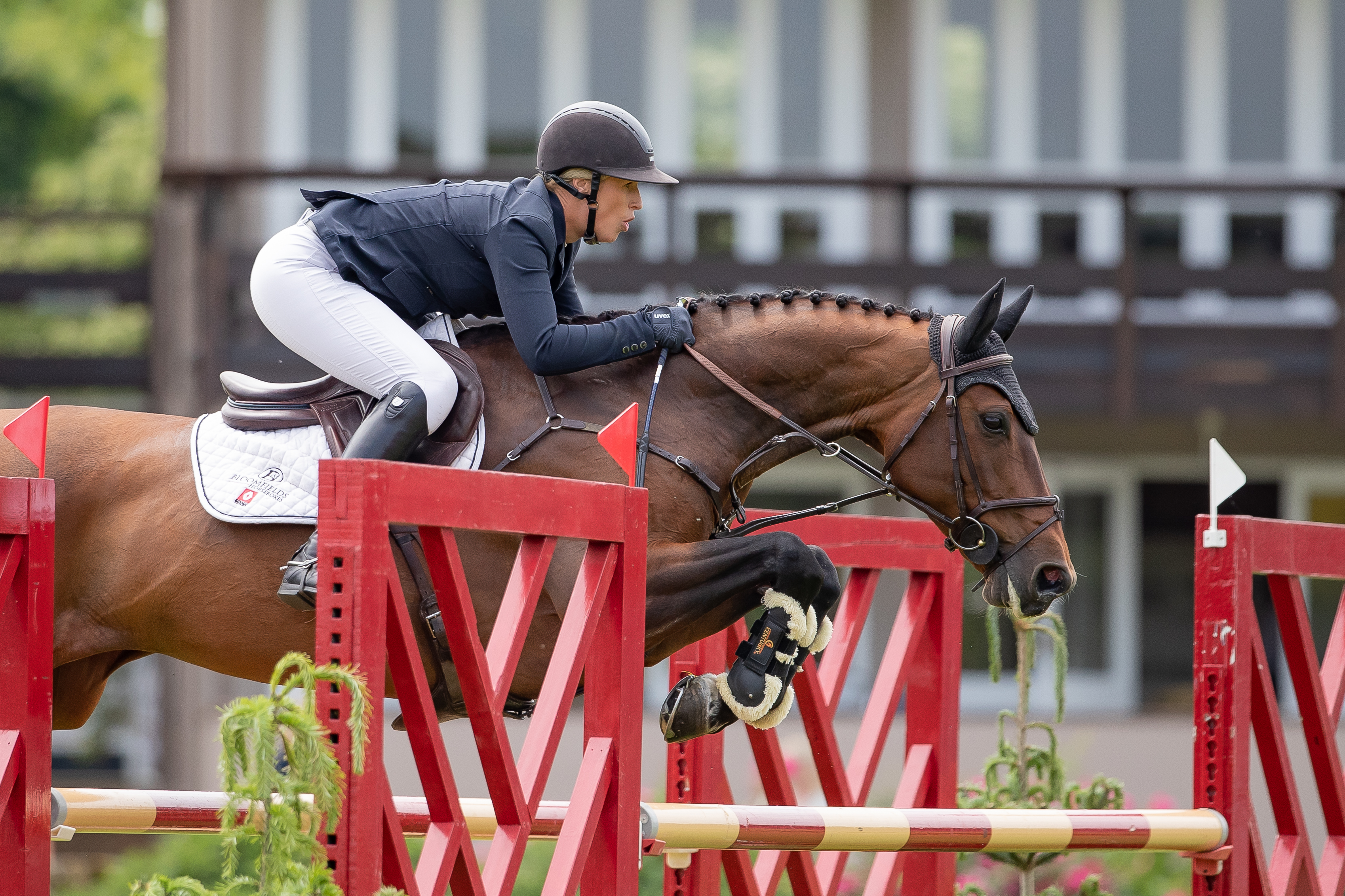 Holly Smith_Billy Sarafina_Astore & Sons 1.35 Open Championship 5