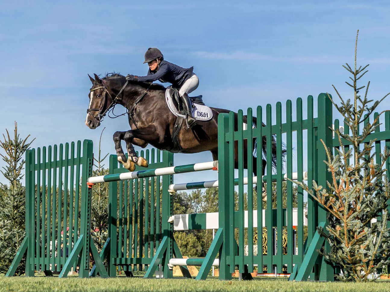 Louise Whitaker JP_D4040 cropped.jpg