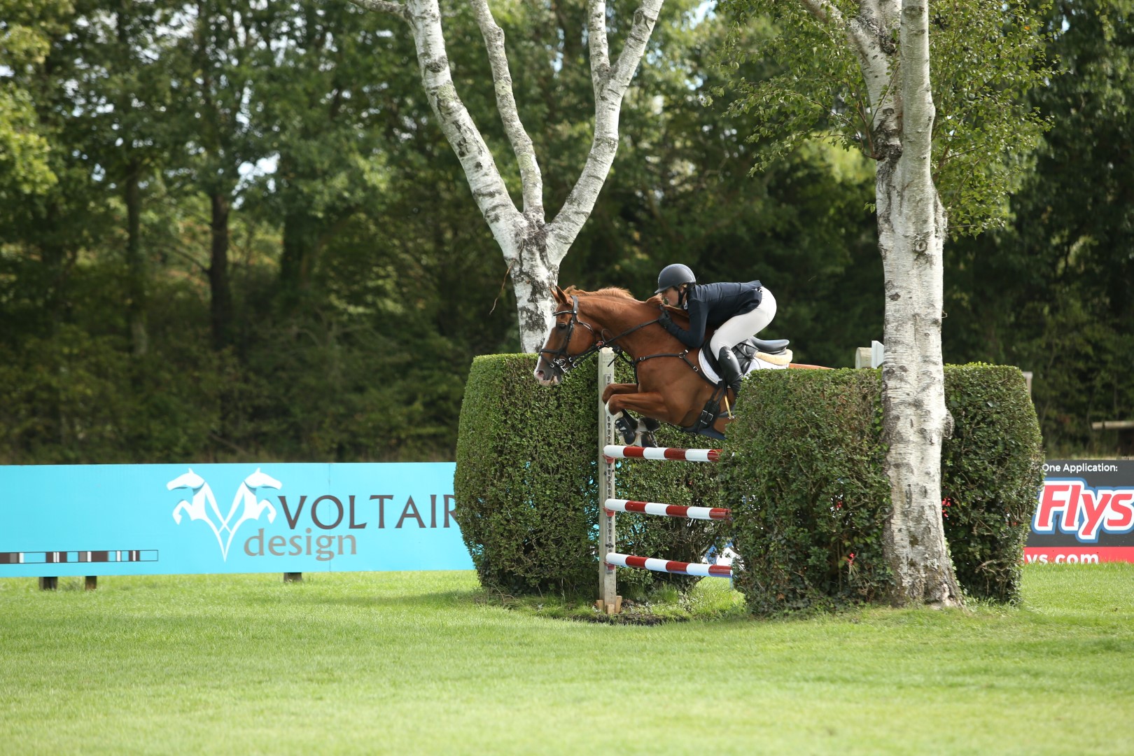 JP_B9221 (Large).JPG