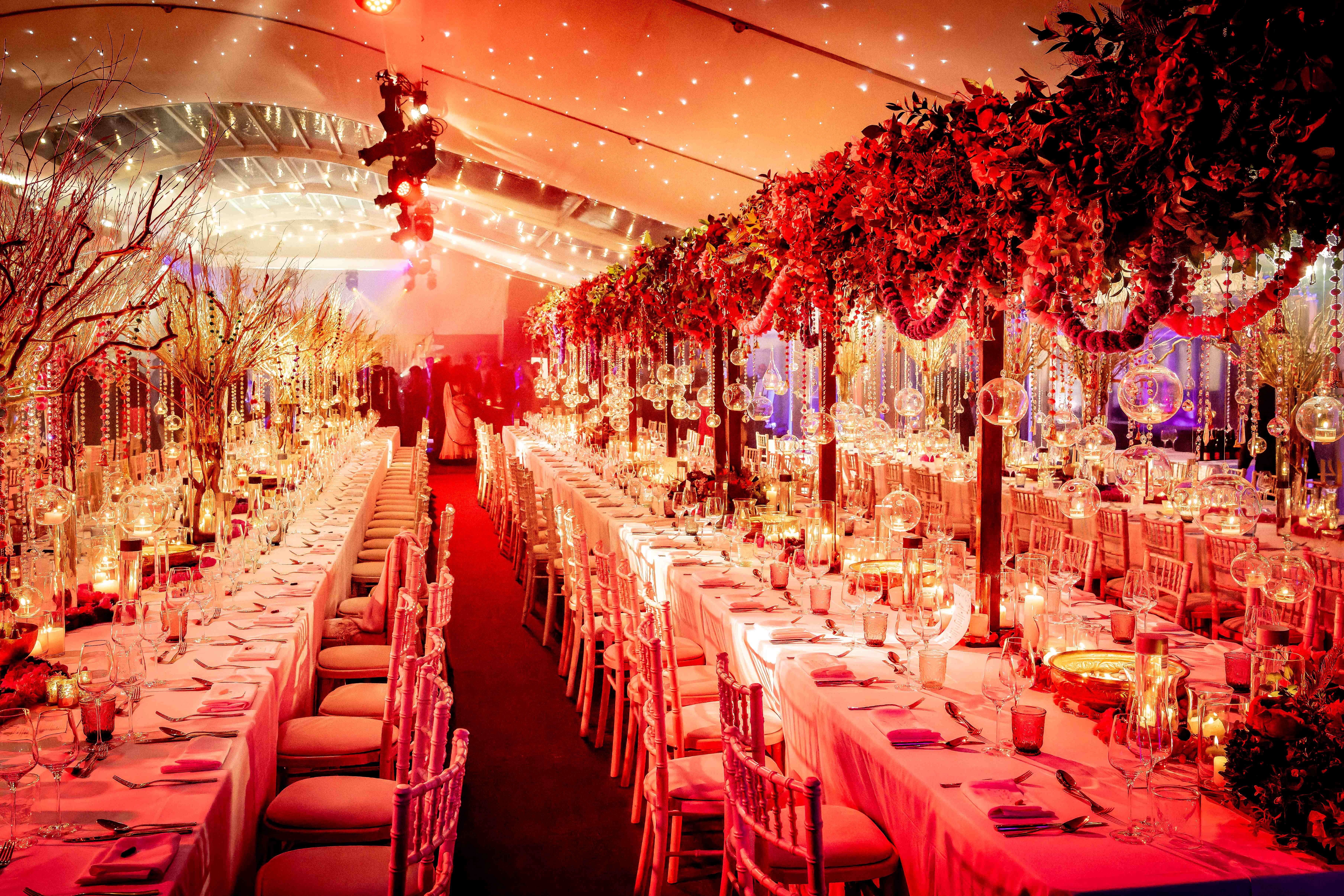 DAISY & PRAV 23 HR 83