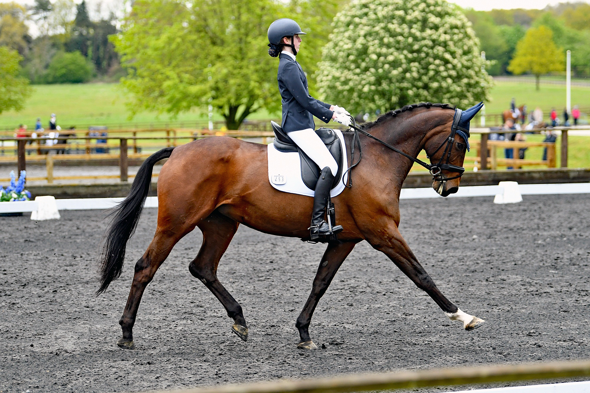 LD3 2047{Jappeloupe Arena Class 23 FEI Children On Horses Team Test 253 Annabelle Wesley Vanir Kamira