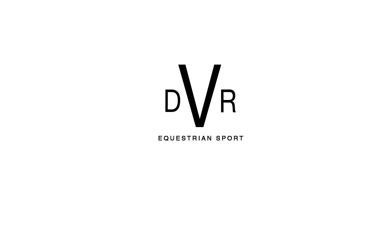 Small DVR Logo