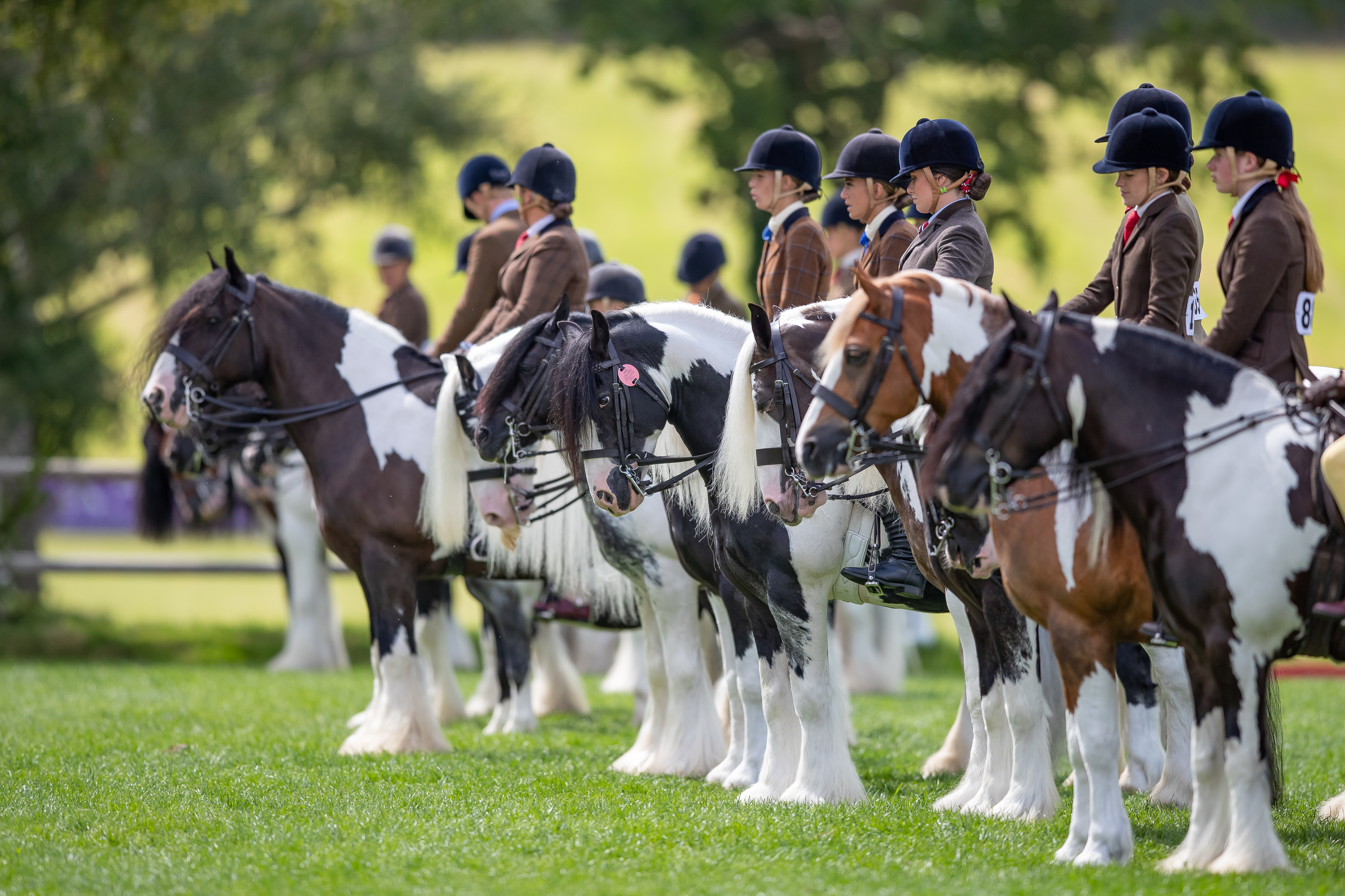 Welcome to Hickstead