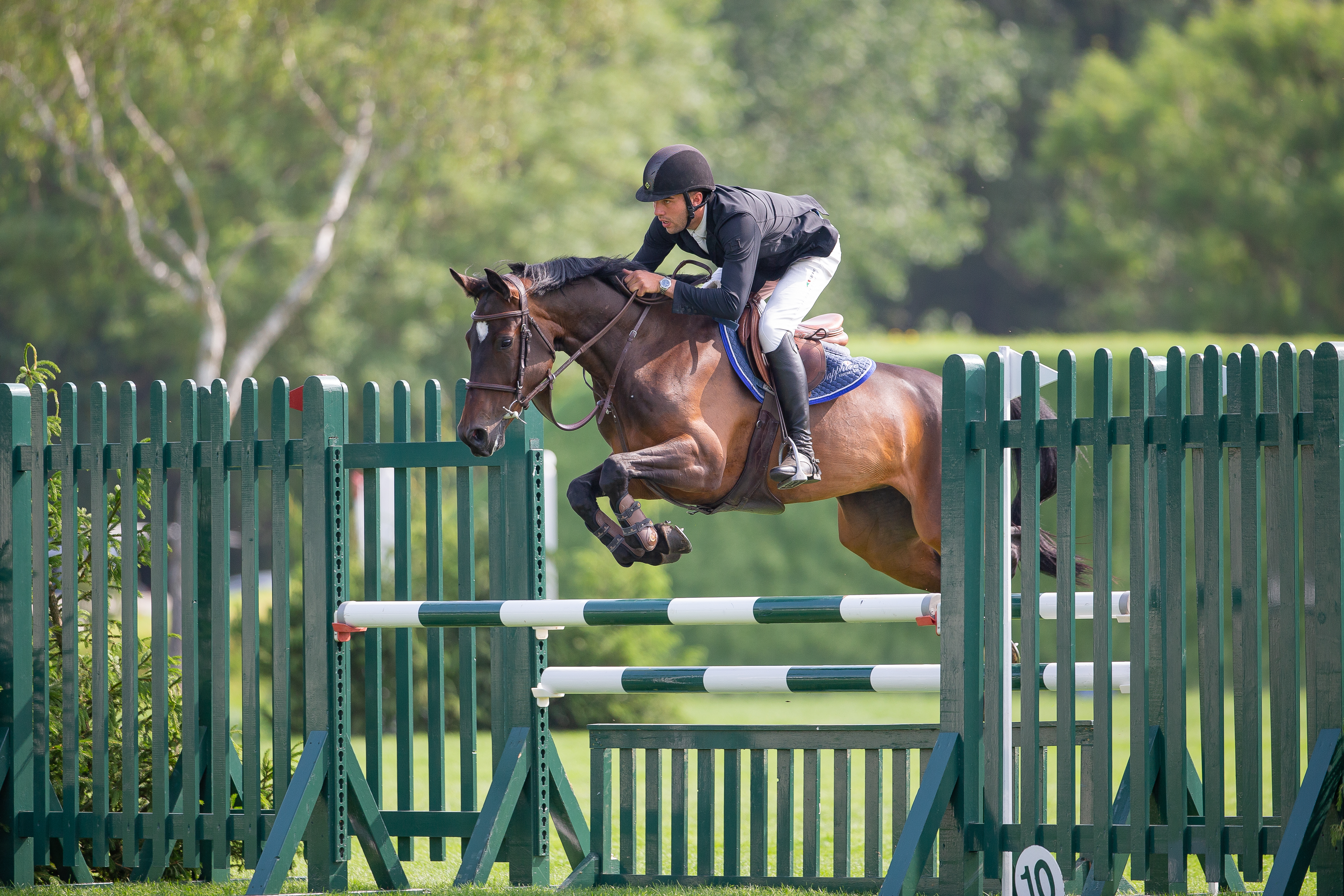 Today at Hickstead 