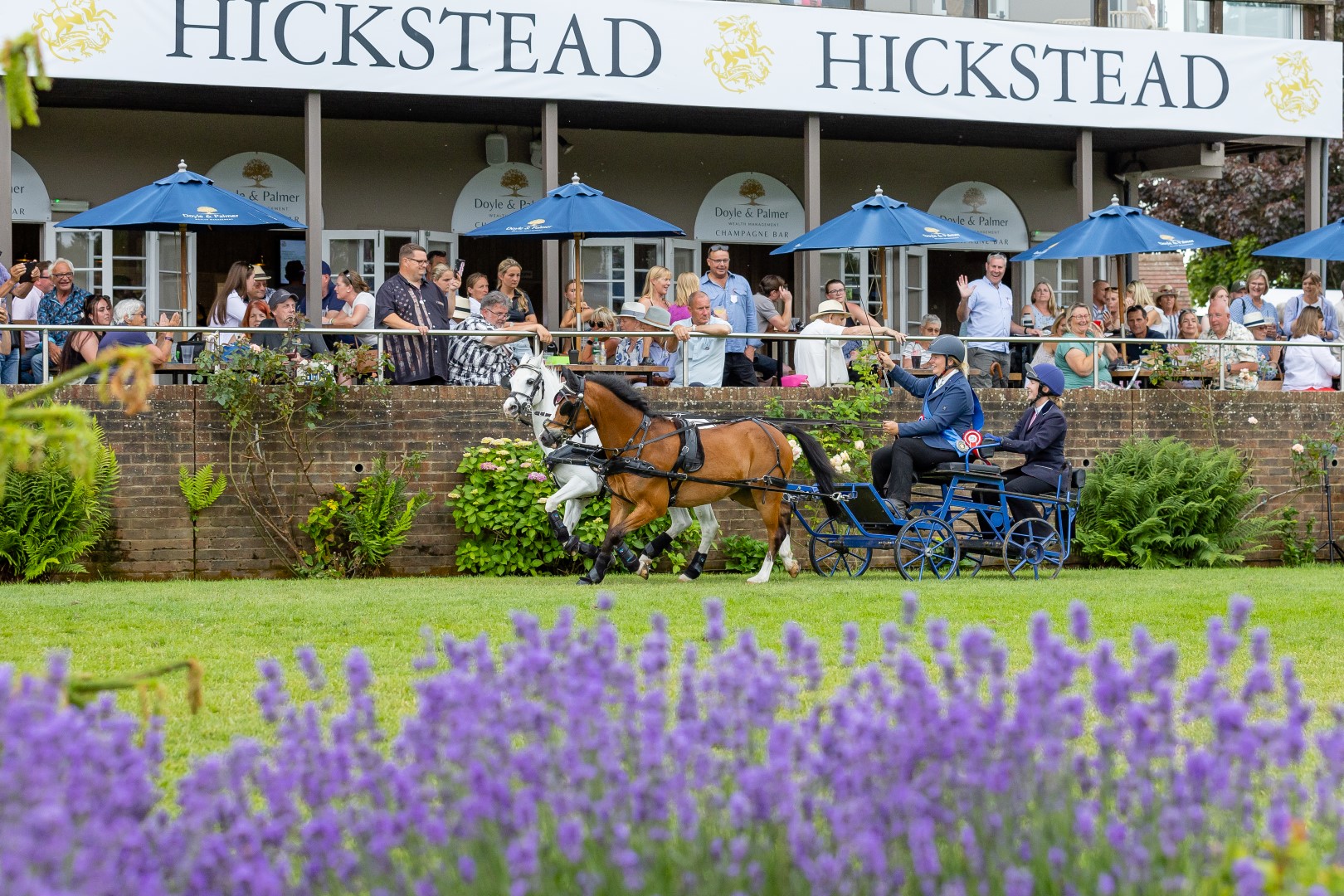 Welcome to Hickstead