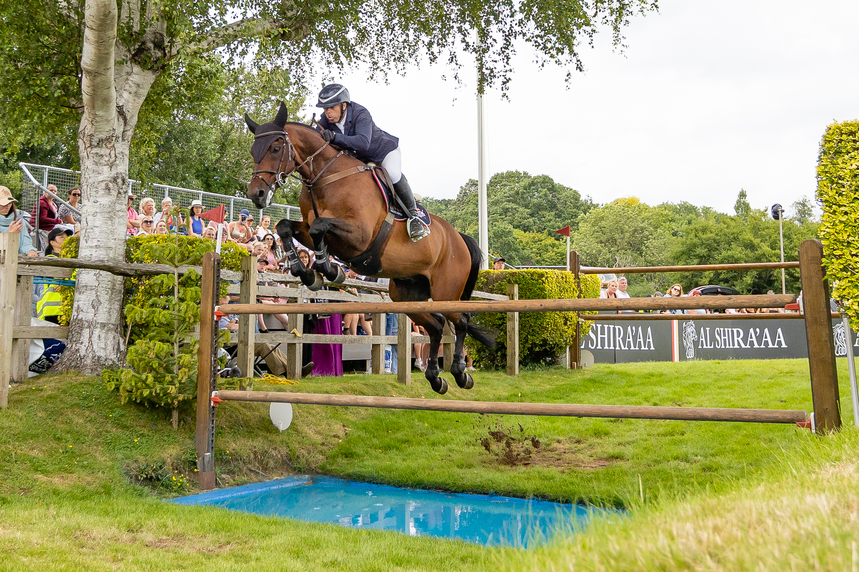 Gentlemen VH Veldhof B&amp;H (15)