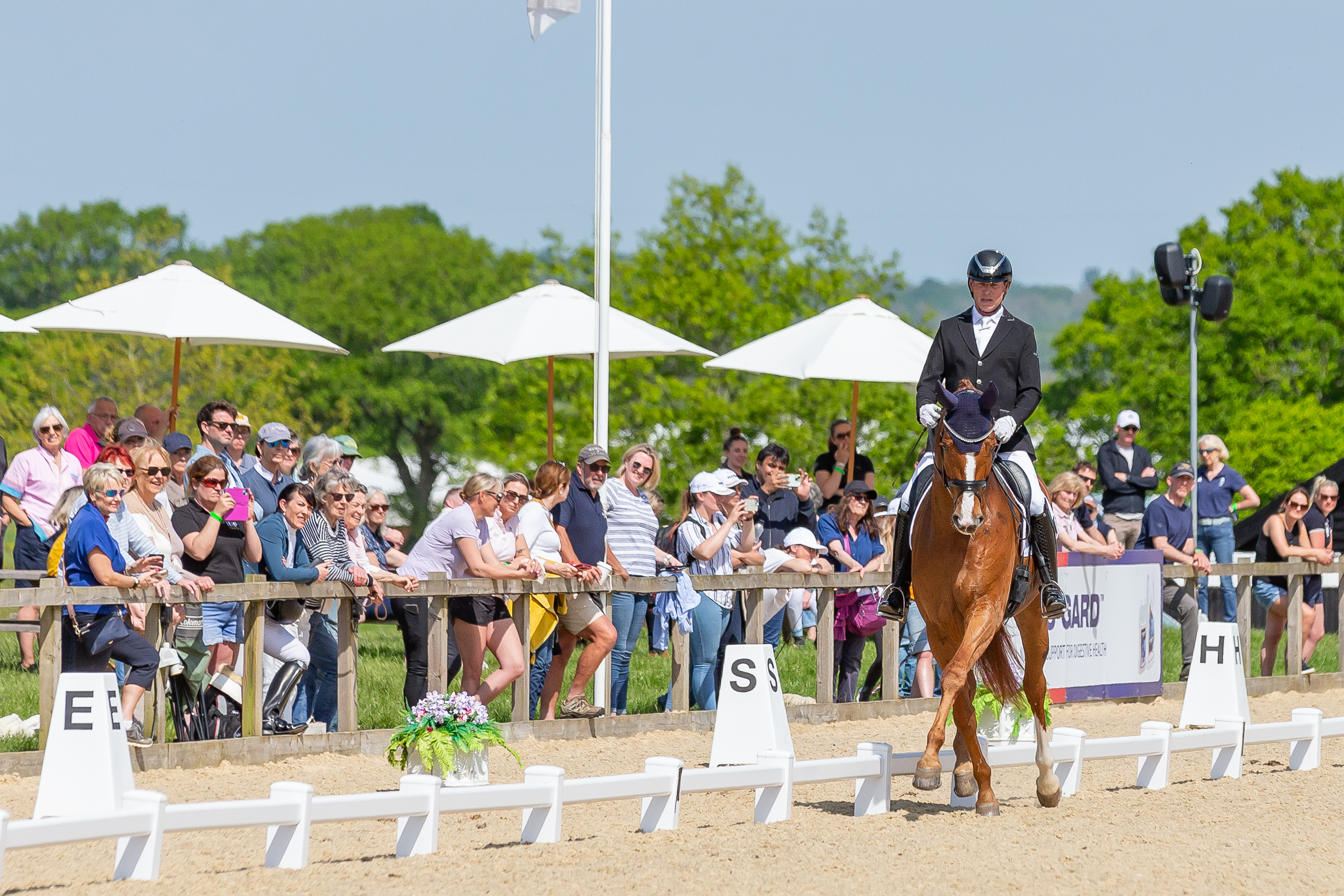 BH HICK 202405010 222