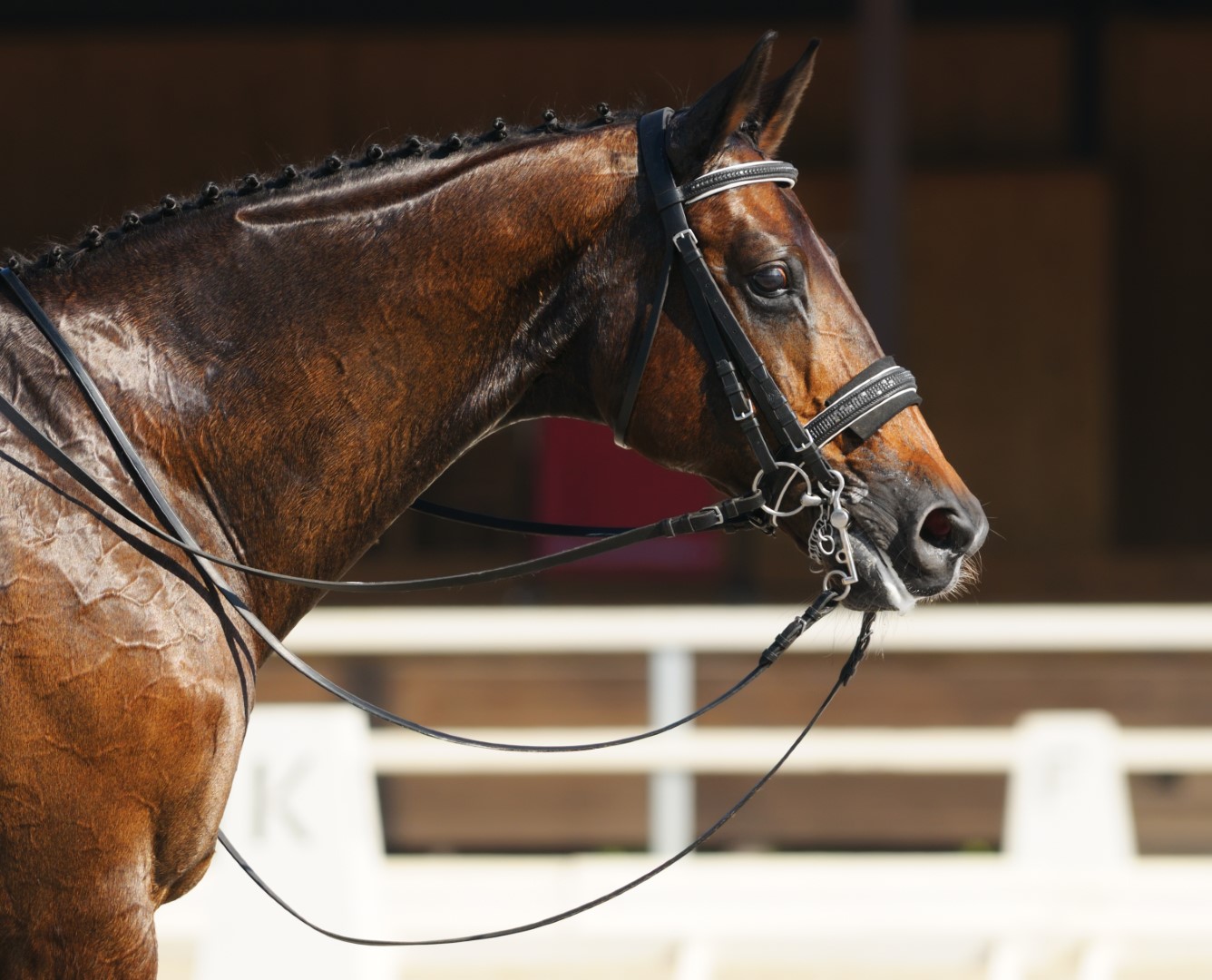 Istock 153573242 (Large)