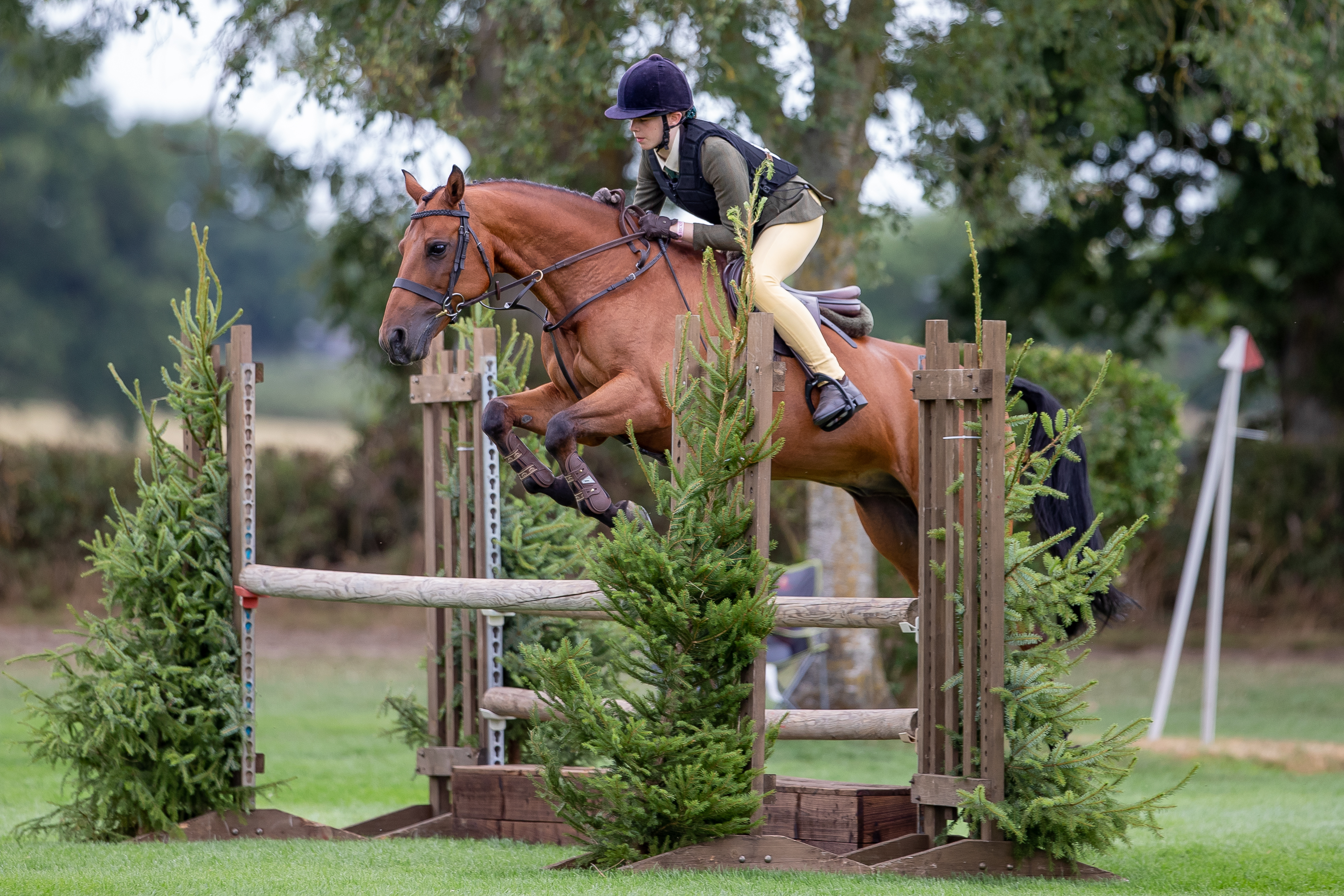 New classes for 2026