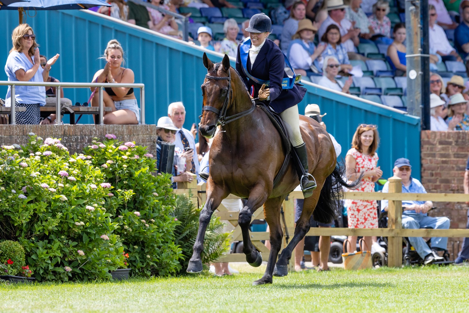 Rebecca Court And Festive Fair B&H (3) (Large)