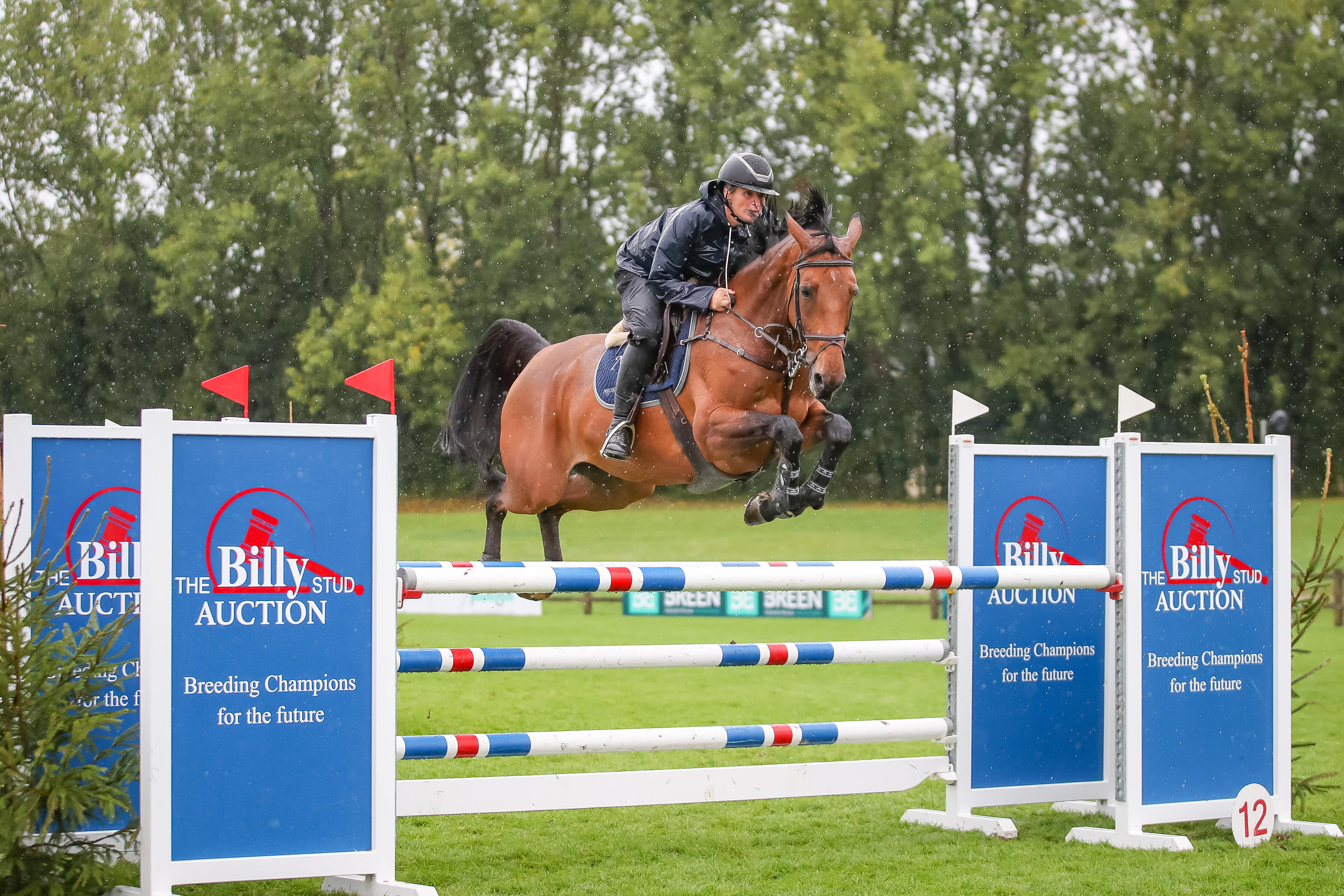 BH HICK 20240906 29 Nicole Pavitt BIG STAR OF FOLLYFOOT Z (2)