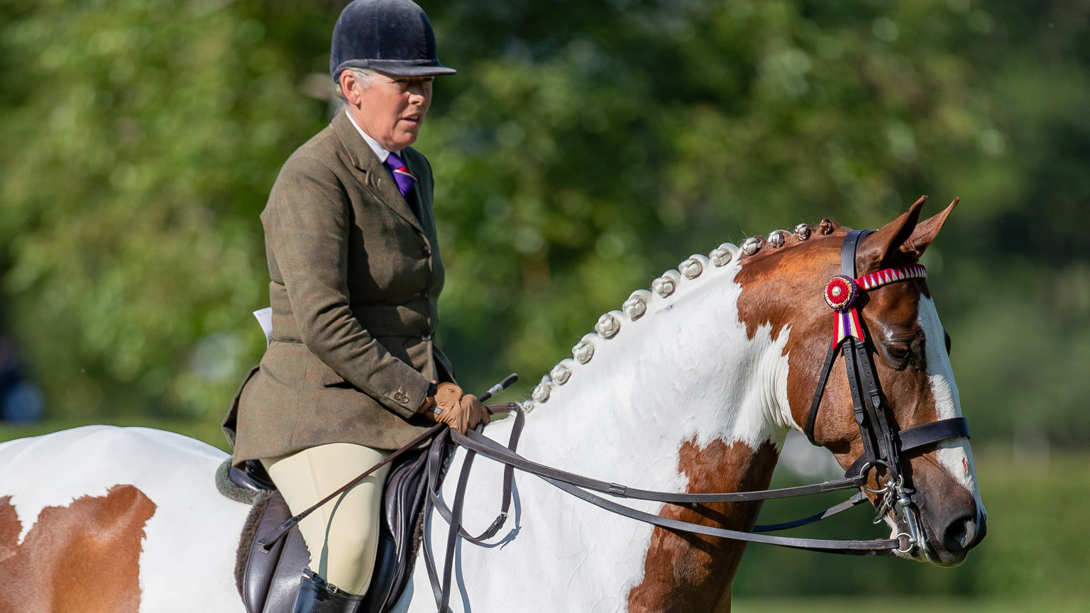 Katie Jerram-Hunnable and Sunbeam_BH