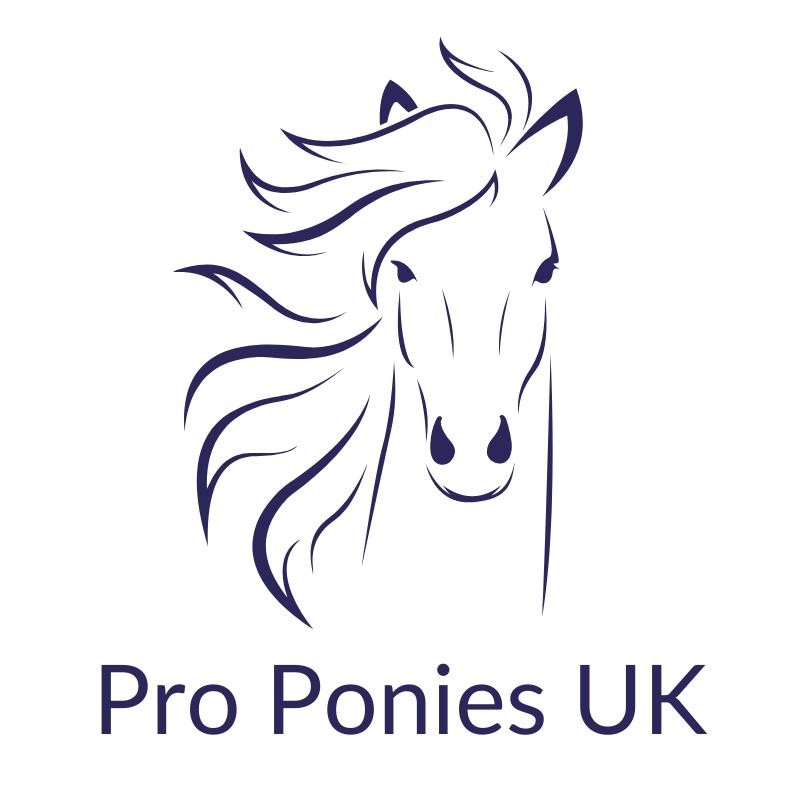 Pro Ponies UK