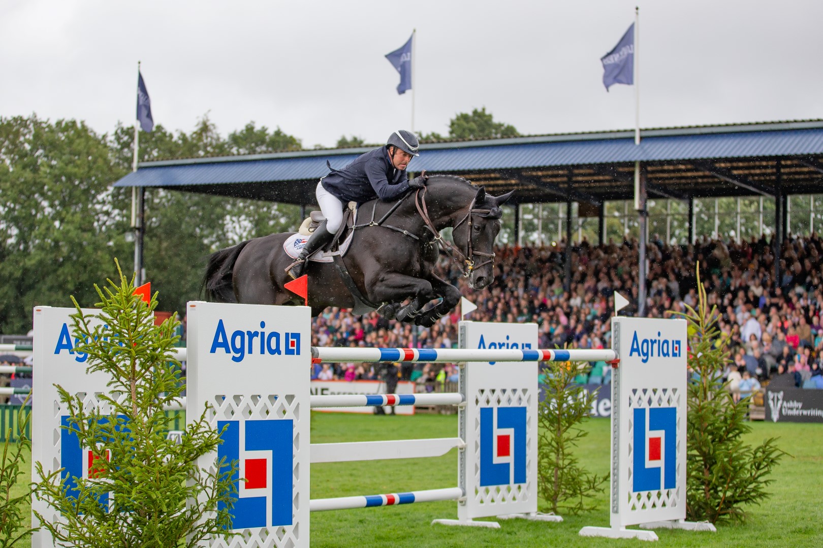 Robert Whitaker & Vermento C Bootsandhooves