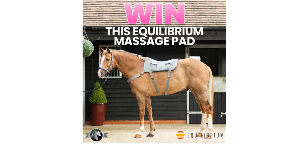 Equine Giveaways massage pad