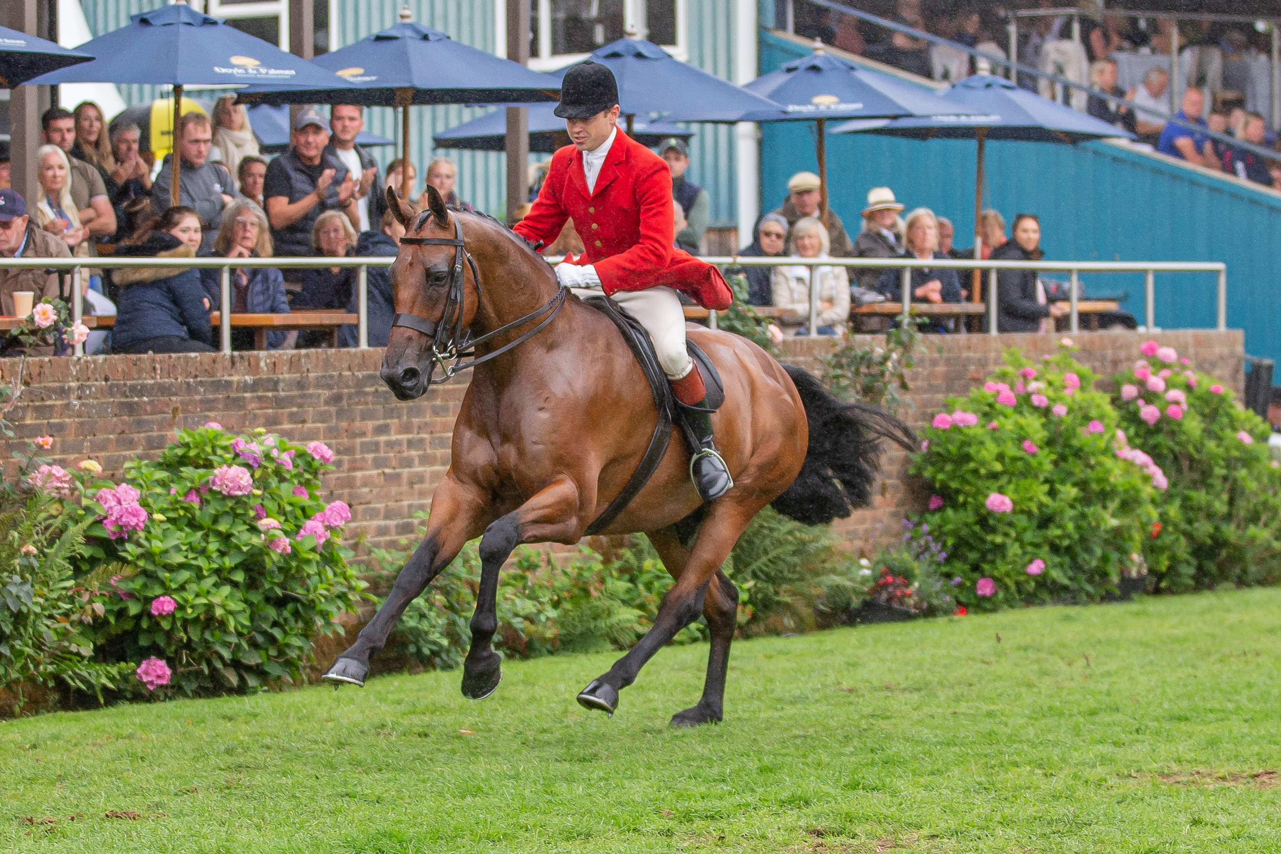 Will Morton &amp; Kilcarna Brilliant (3)