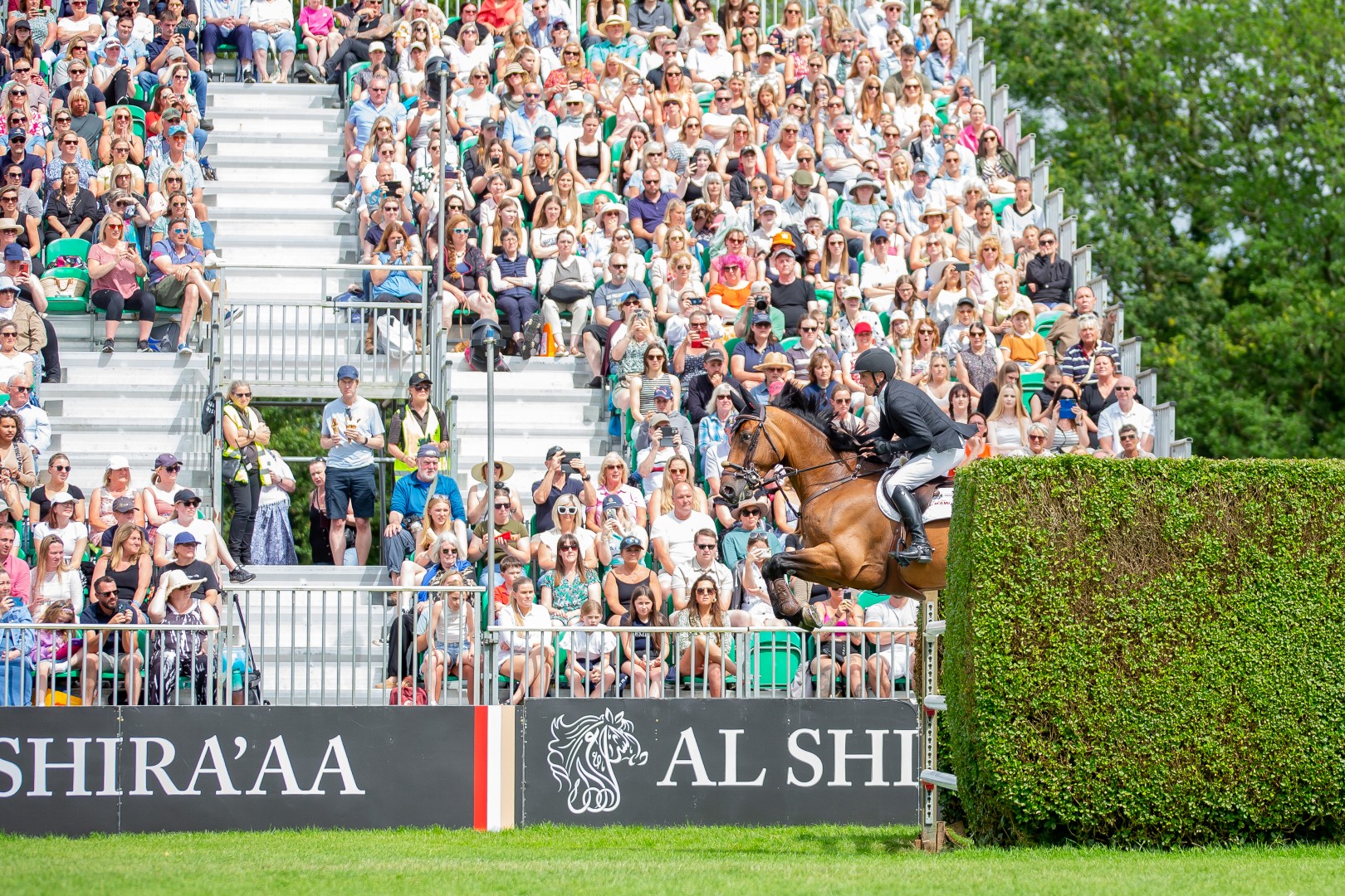 BH HICK 20240623 223