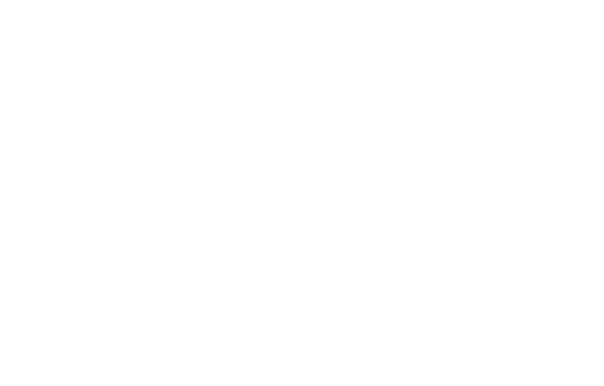 SEIB