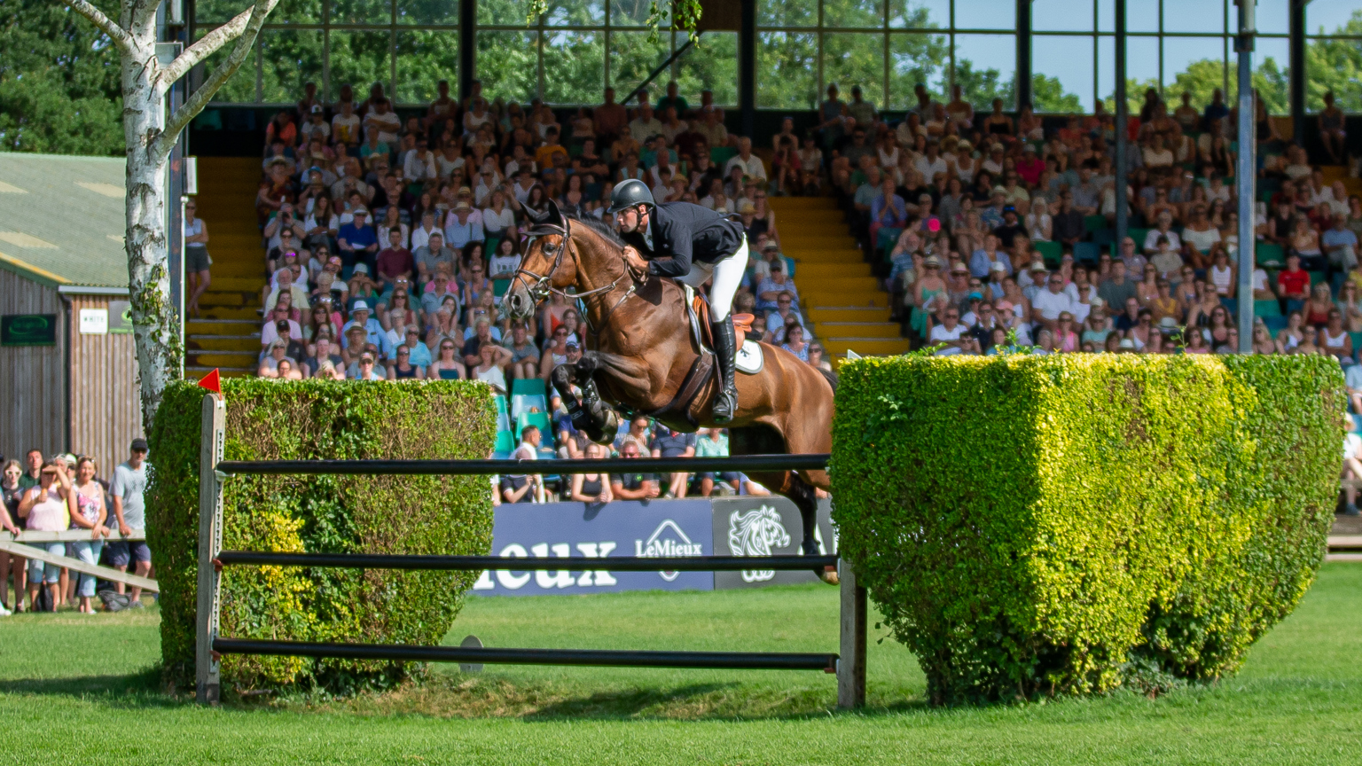 David Simpson & Pjotr Van De Kruishoeve (1)