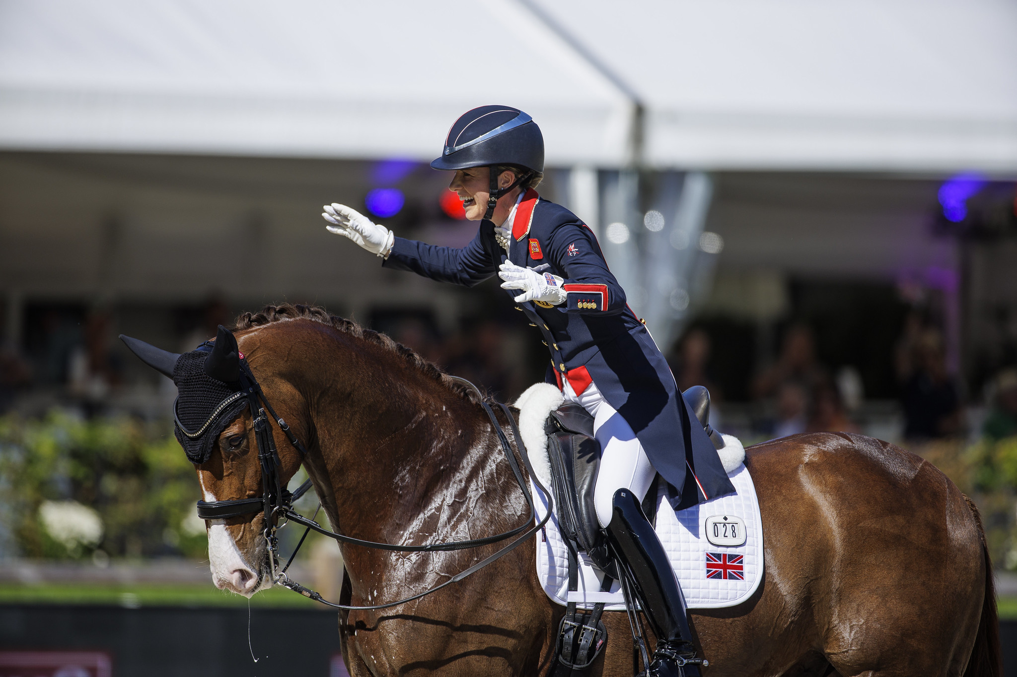A complete set of medals