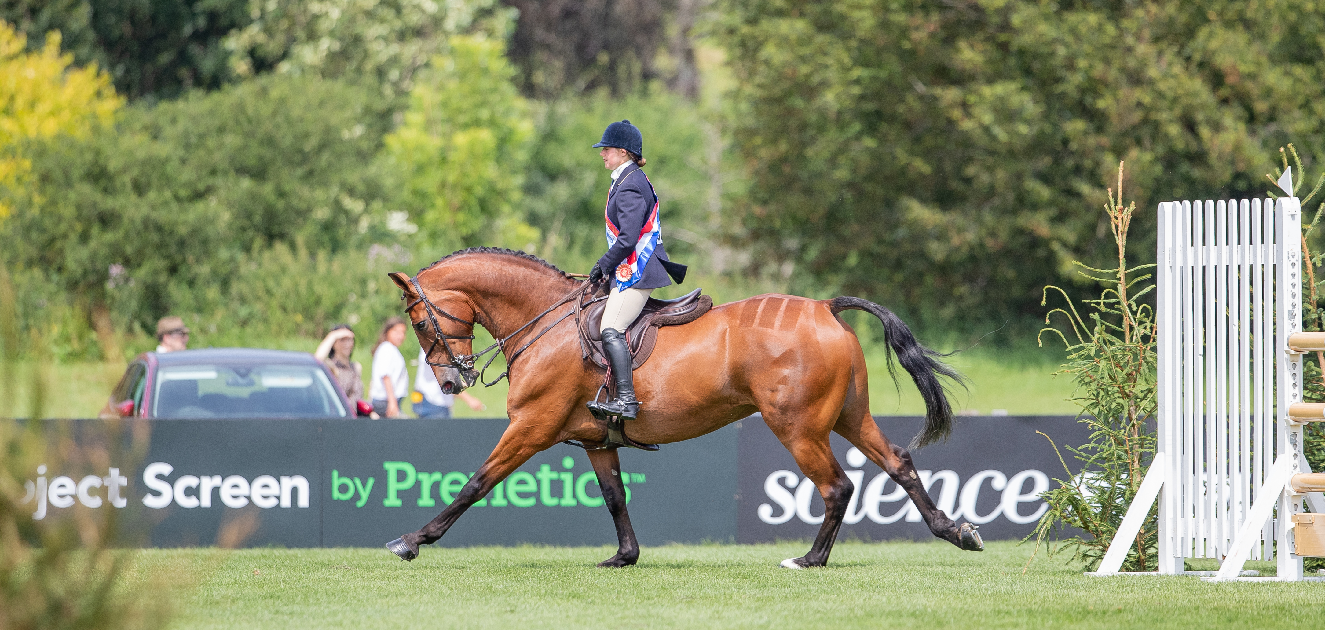 Nicole Lockhead Anderson MJM Lazlo 5