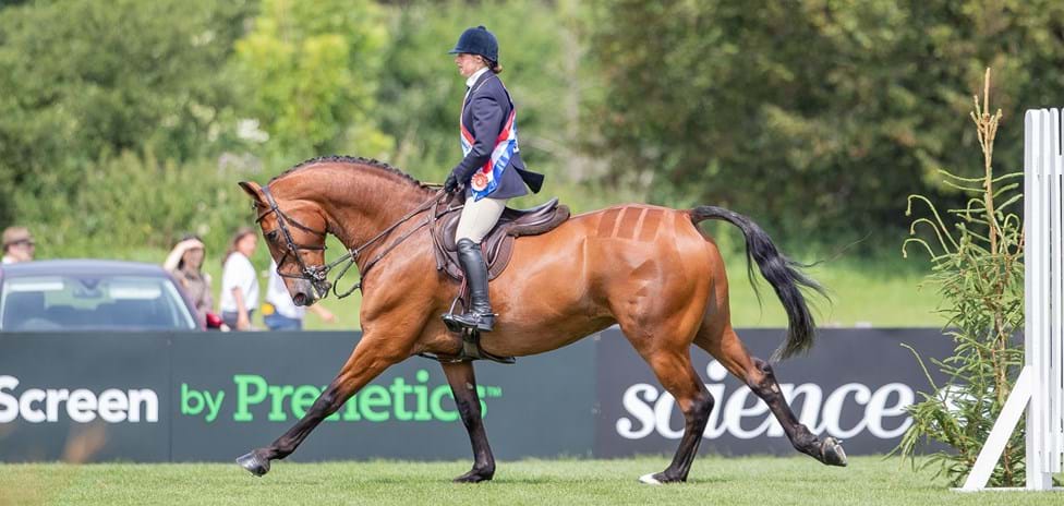 Nicole wins major showing title 24hrs after showjumping victory