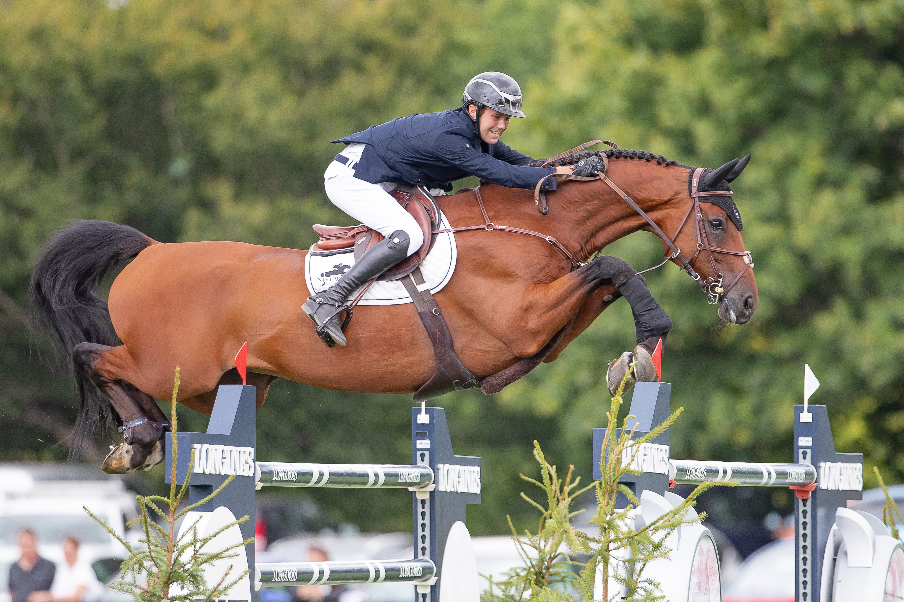 Thomas Gilles & Aretino 13 (10)