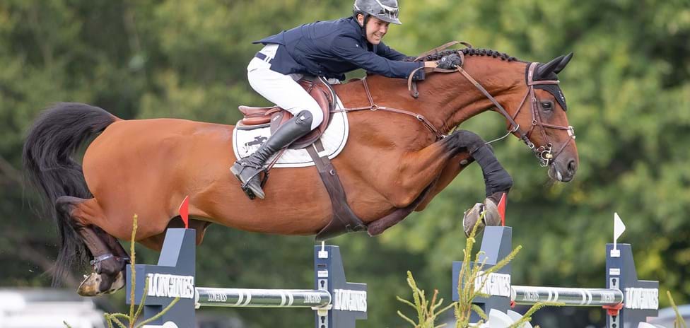 Thomas Gilles & Aretino 13 (10)