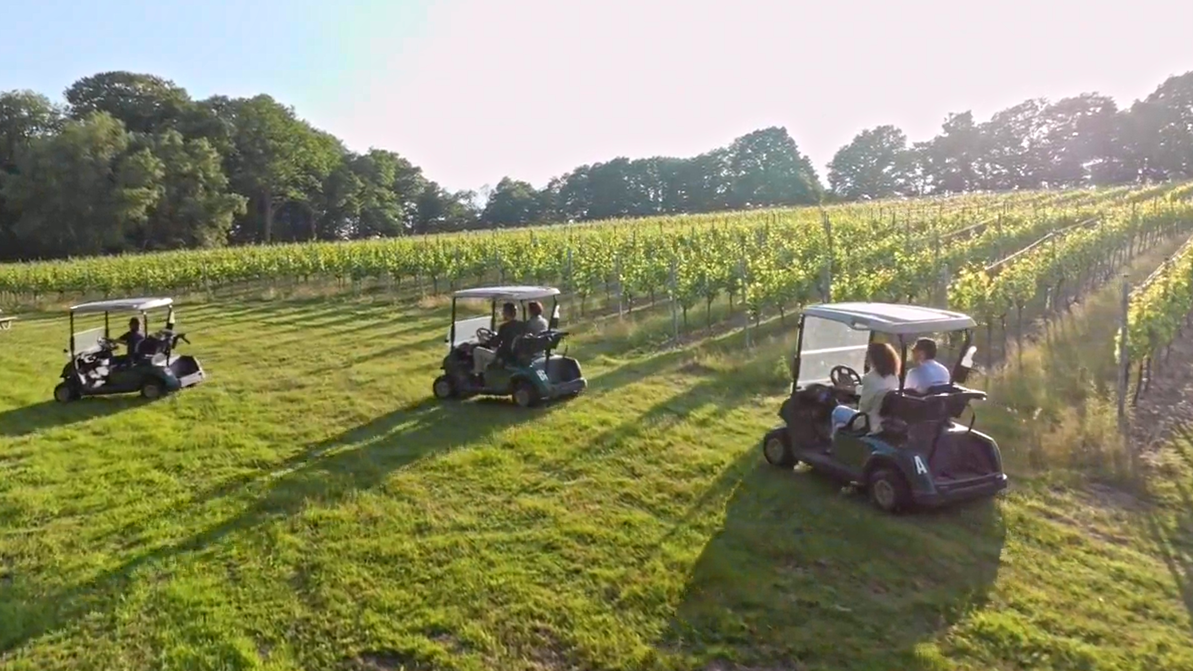 Leonardslee Golf Buggy